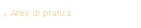 Aree di pratica